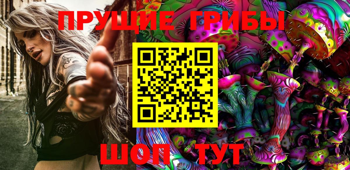 Псилоцибиновые грибы GOLDEN TEACHER Мариинск