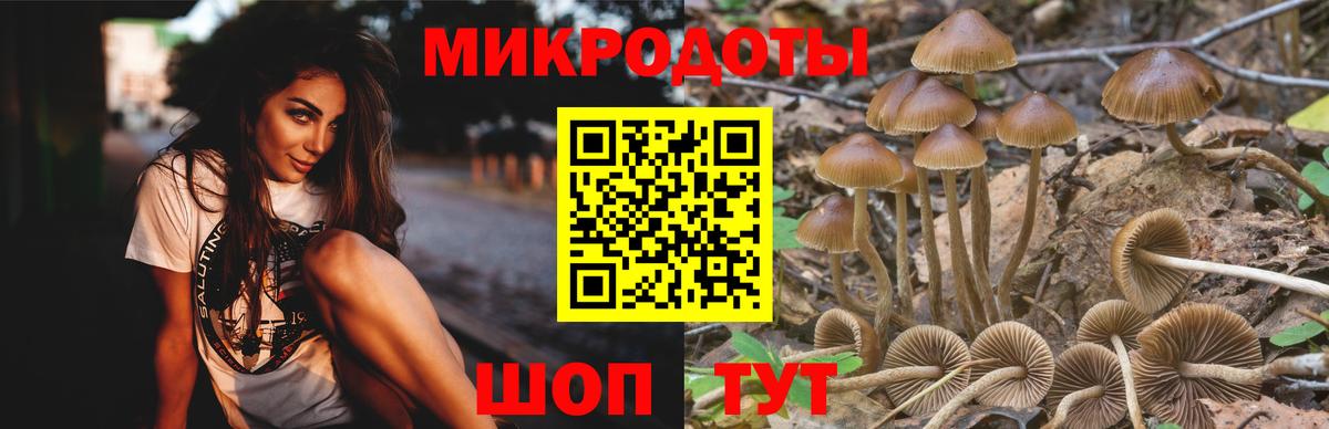 Галлюциногенные грибы Psilocybe  купить наркотик  Мариинск 