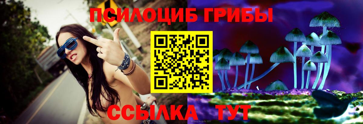 купить   Вход с VPN  Мариинск  Псилоцибиновые грибы MAGIC MUSHROOMS 